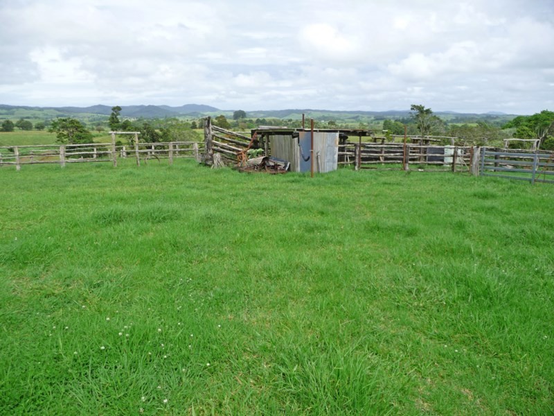 Millaa Millaa QLD 4886