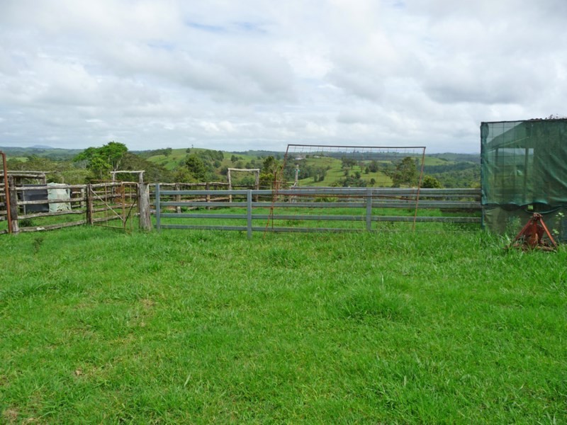 Millaa Millaa QLD 4886