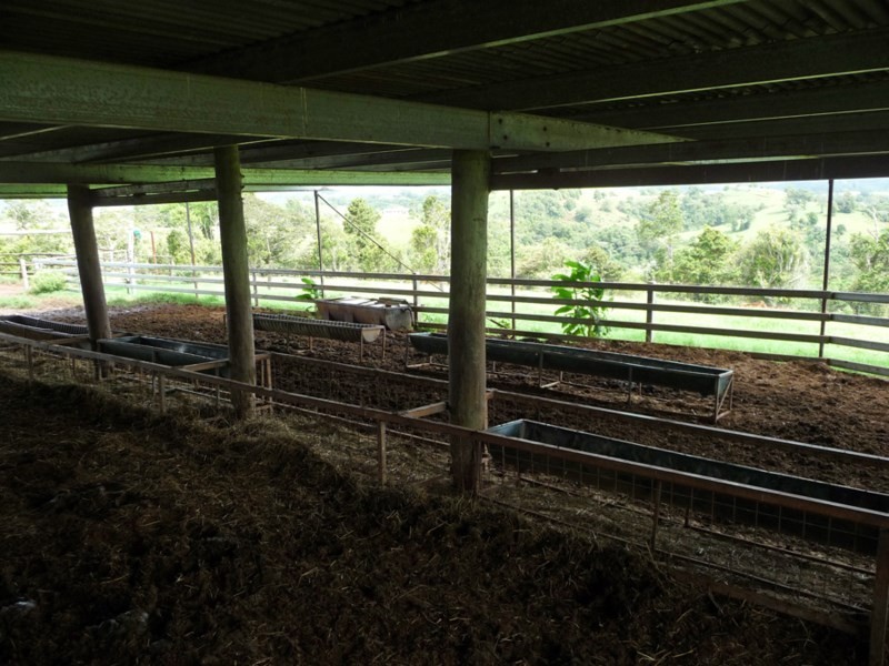 Millaa Millaa QLD 4886