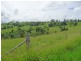 Millaa Millaa QLD 4886