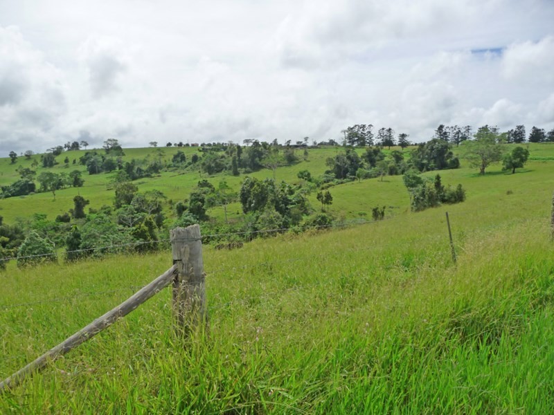 Millaa Millaa QLD 4886