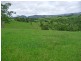 Millaa Millaa QLD 4886