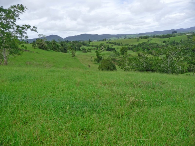 Millaa Millaa QLD 4886