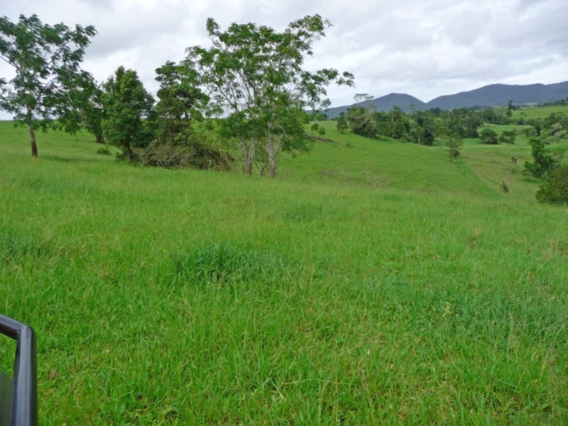 Millaa Millaa QLD 4886