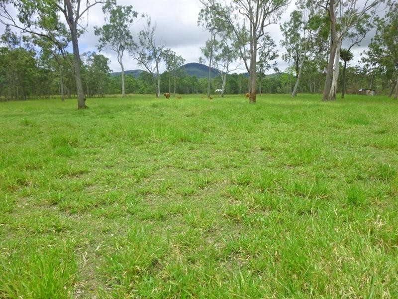 Wongabel QLD 4883
