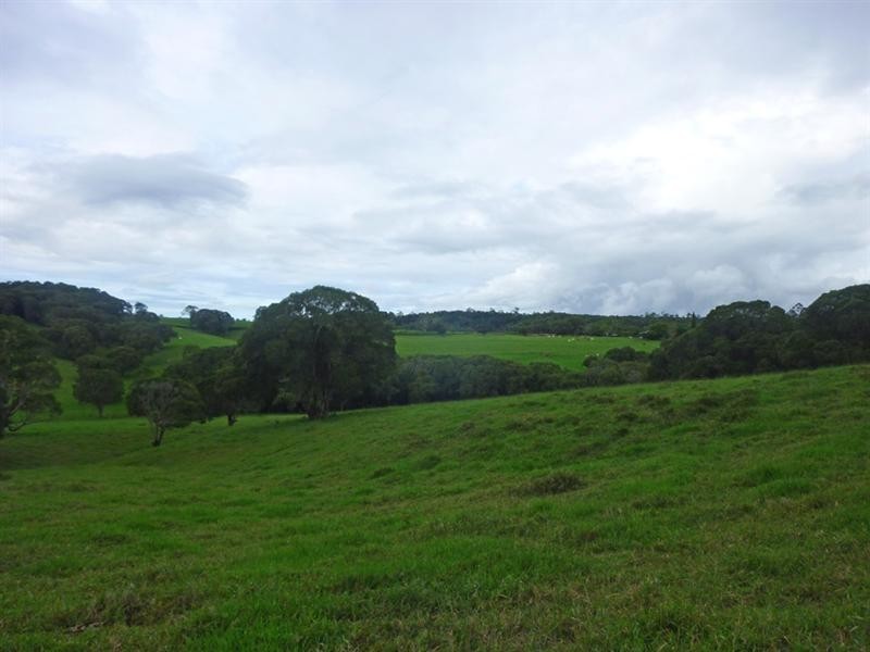 Yungaburra QLD 4884