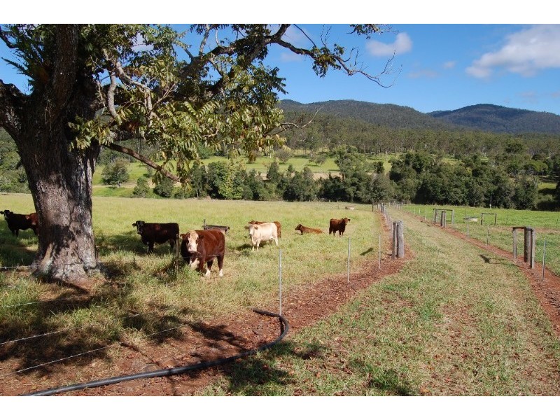 Upper Barron QLD 4883