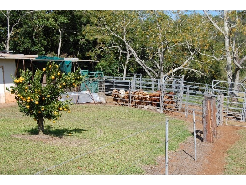 Upper Barron QLD 4883