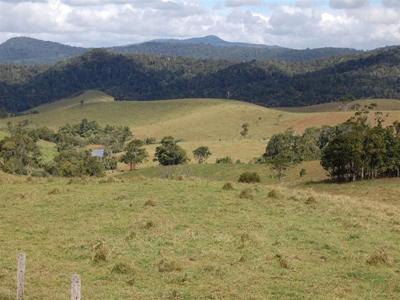 Tarzali QLD 4885