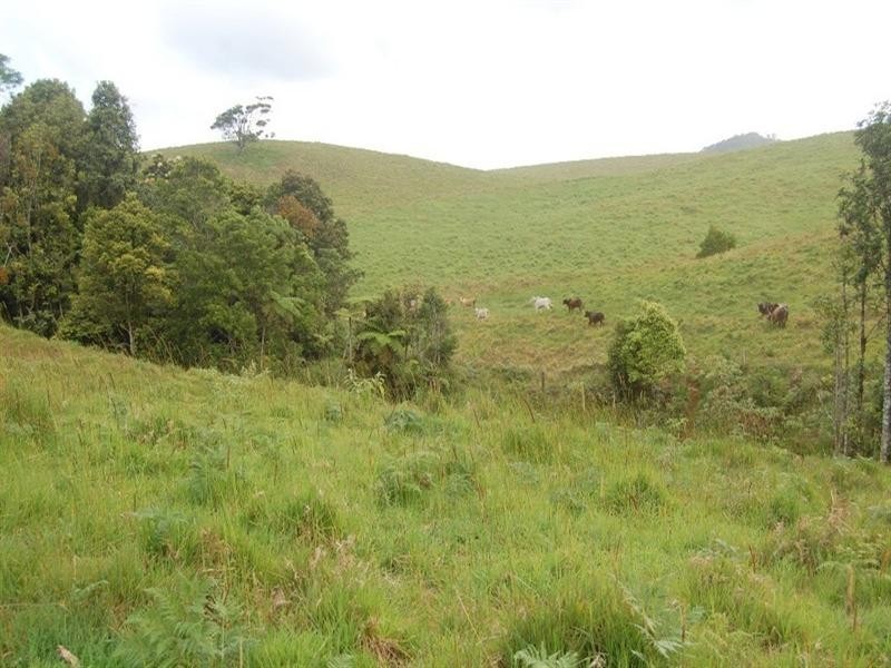 Tarzali QLD 4885