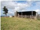 Tarzali QLD 4885