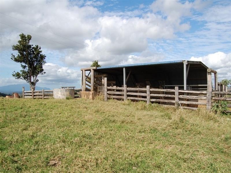 Tarzali QLD 4885