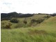 Tarzali QLD 4885