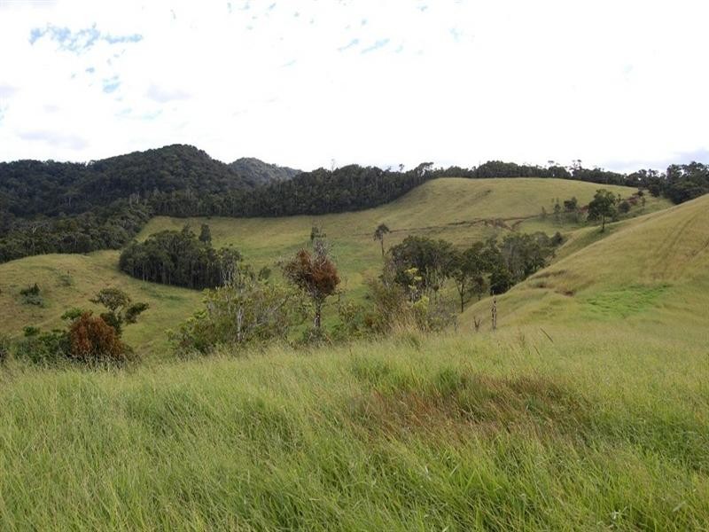 Tarzali QLD 4885
