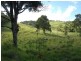 Tarzali QLD 4885