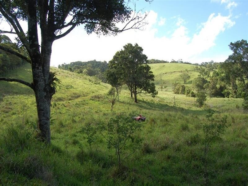 Tarzali QLD 4885