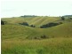 Tarzali QLD 4885