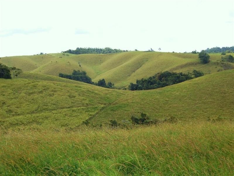 Tarzali QLD 4885