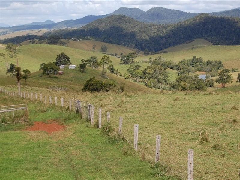 Tarzali QLD 4885
