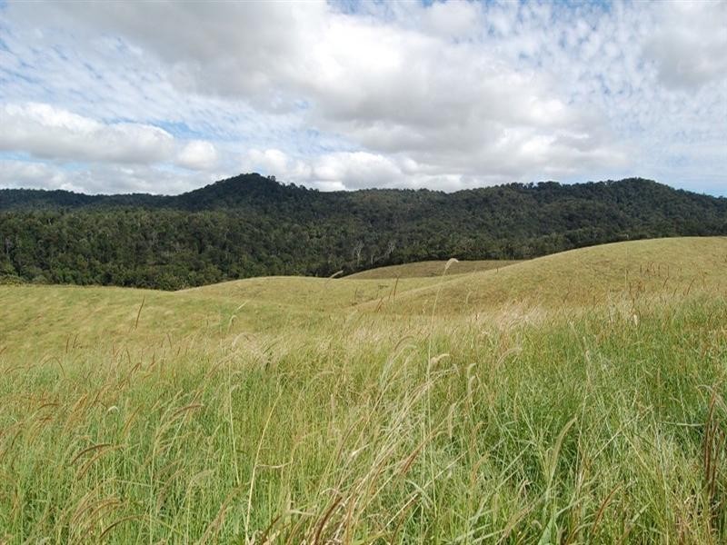 Tarzali QLD 4885