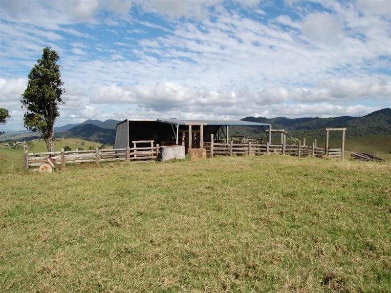 Tarzali QLD 4885