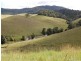 Tarzali QLD 4885