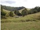 Tarzali QLD 4885