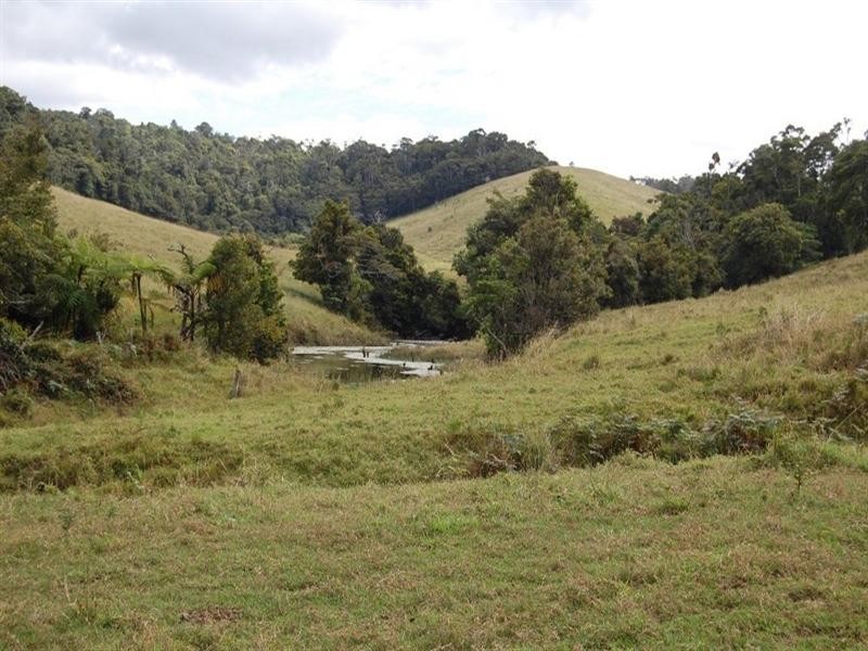 Tarzali QLD 4885