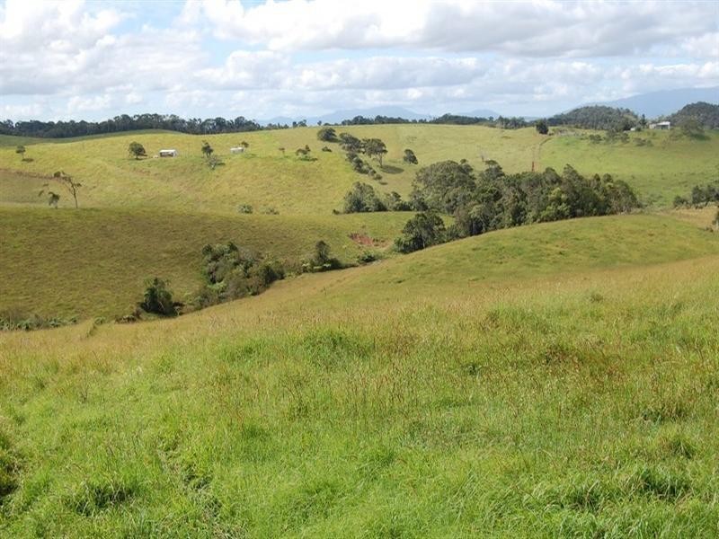 Tarzali QLD 4885
