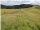 Tarzali QLD 4885