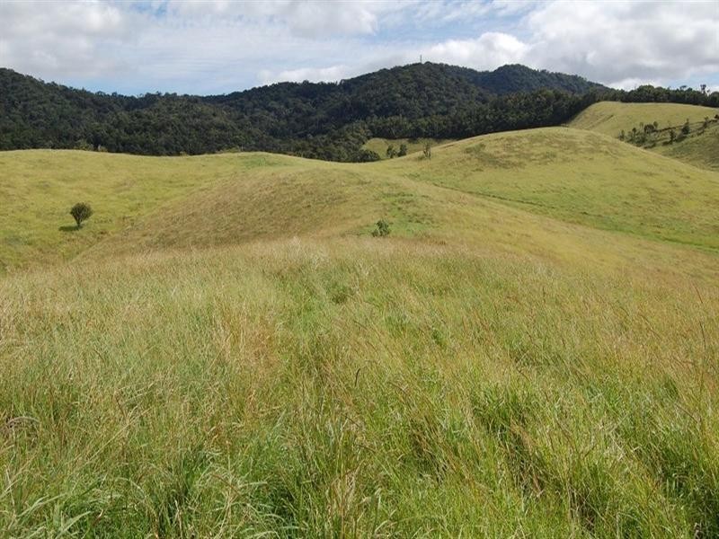 Tarzali QLD 4885