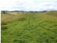 Tarzali QLD 4885