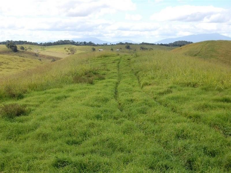 Tarzali QLD 4885