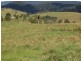 Tarzali QLD 4885