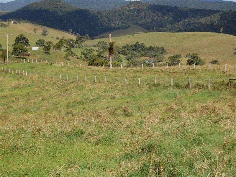Tarzali QLD 4885