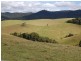 Tarzali QLD 4885