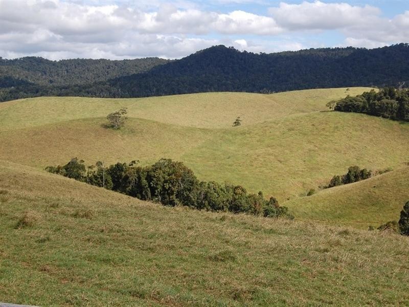 Tarzali QLD 4885