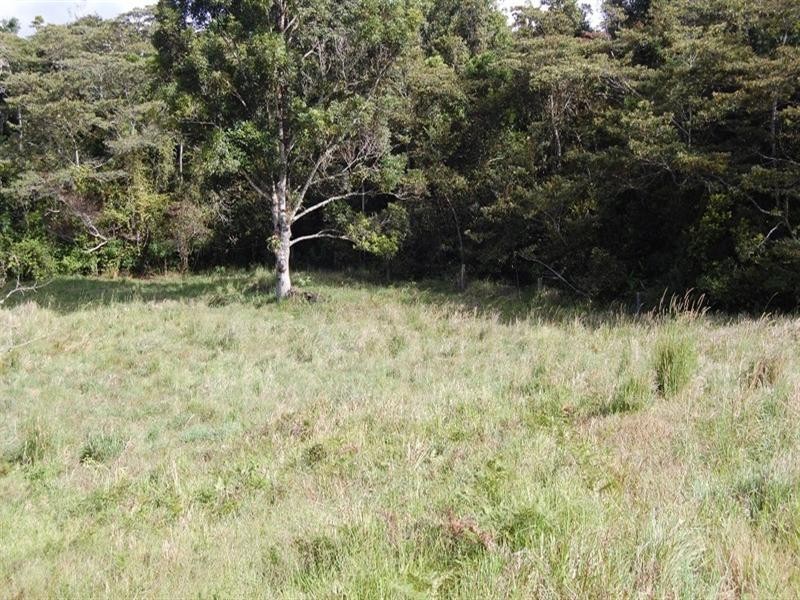 Tarzali QLD 4885