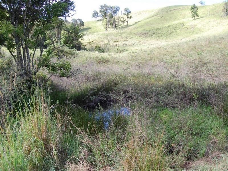 Tarzali QLD 4885