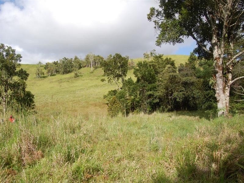 Tarzali QLD 4885