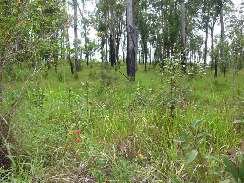 2 Grigg Street, Ravenshoe QLD 4888