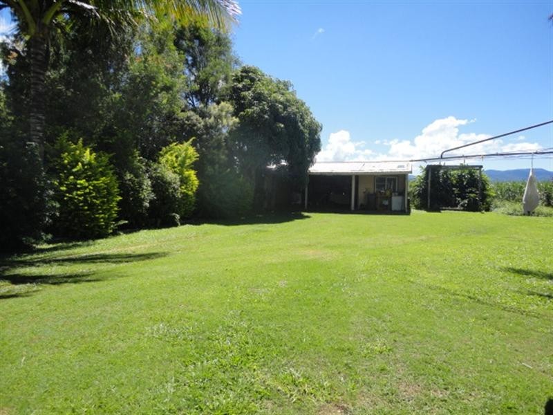 16 Irvine Street, Kairi QLD 4872