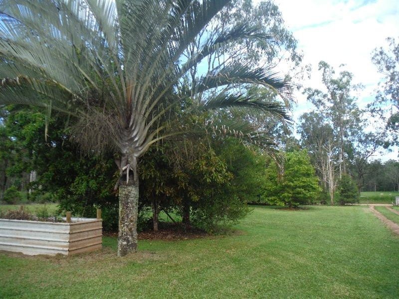 East Barron QLD 4883