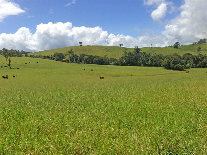 Topaz QLD 4885