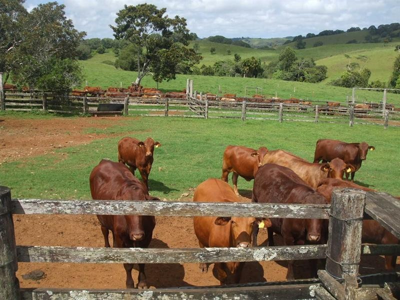 Topaz QLD 4885