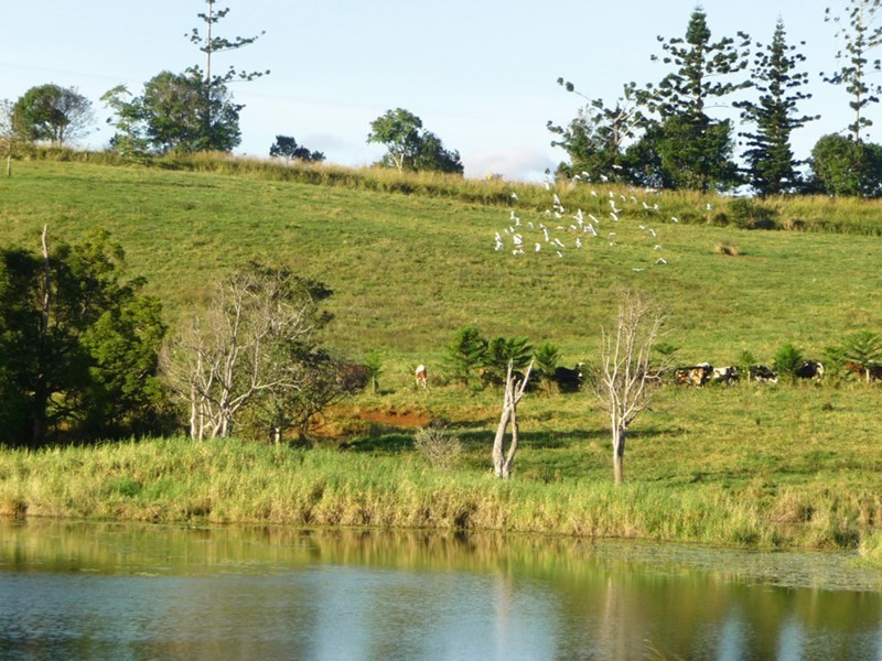 Atherton QLD 4883