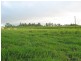 Yungaburra QLD 4884