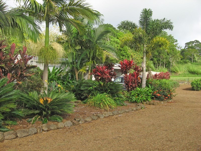 Yungaburra QLD 4884