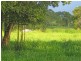 Yungaburra QLD 4884