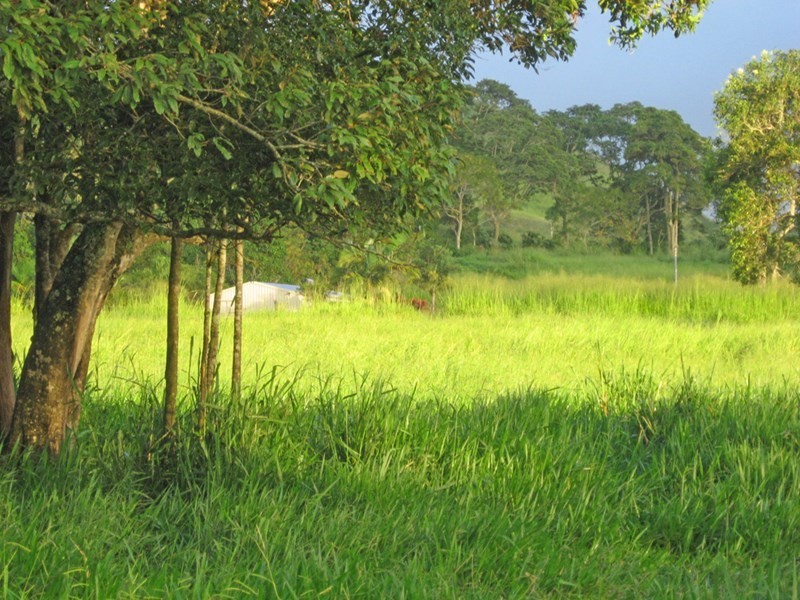 Yungaburra QLD 4884